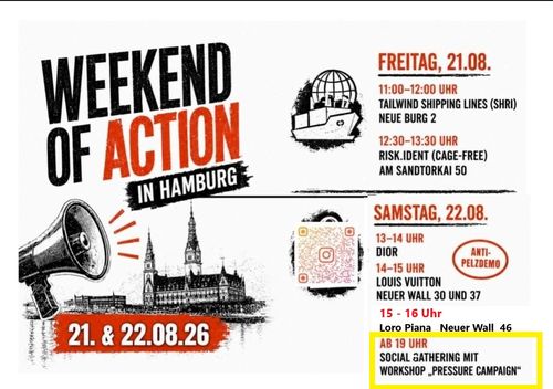 Workshop Pressure Campaign und Austausch