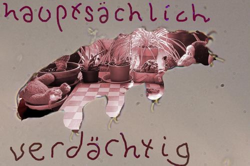 Konzert "hauptsächlich verdächtig" / Blurred Edges Festival 2026