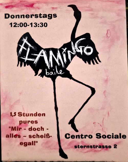 Baile Flamingo - genderunspezifisch und anarchisch